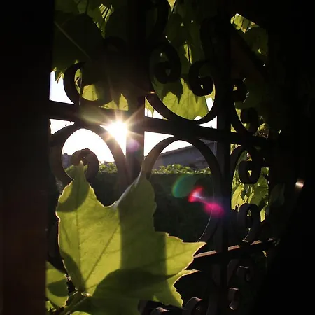 La De Lalola Ξενοδοχείο