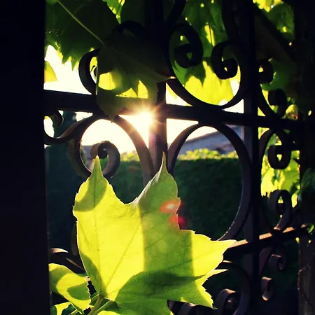 La De Lalola Ξενοδοχείο 2*