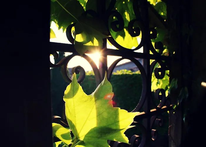 La De Lalola Hotel 2*