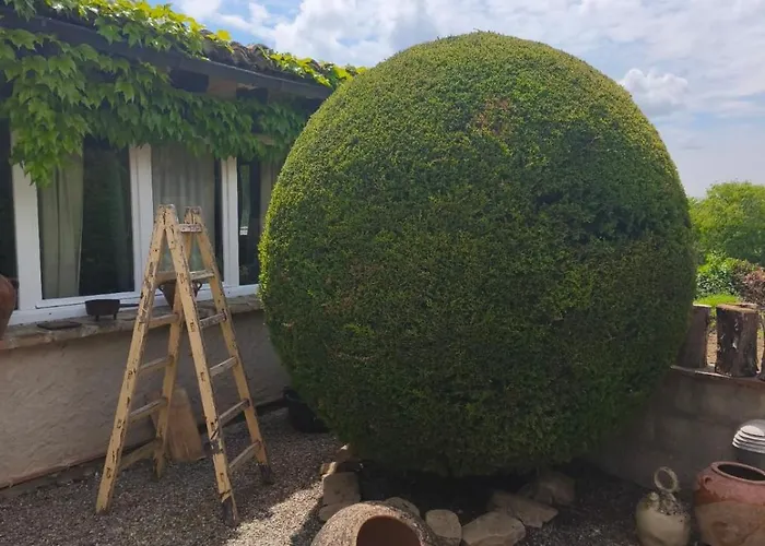 La De Lalola Hotel 2*